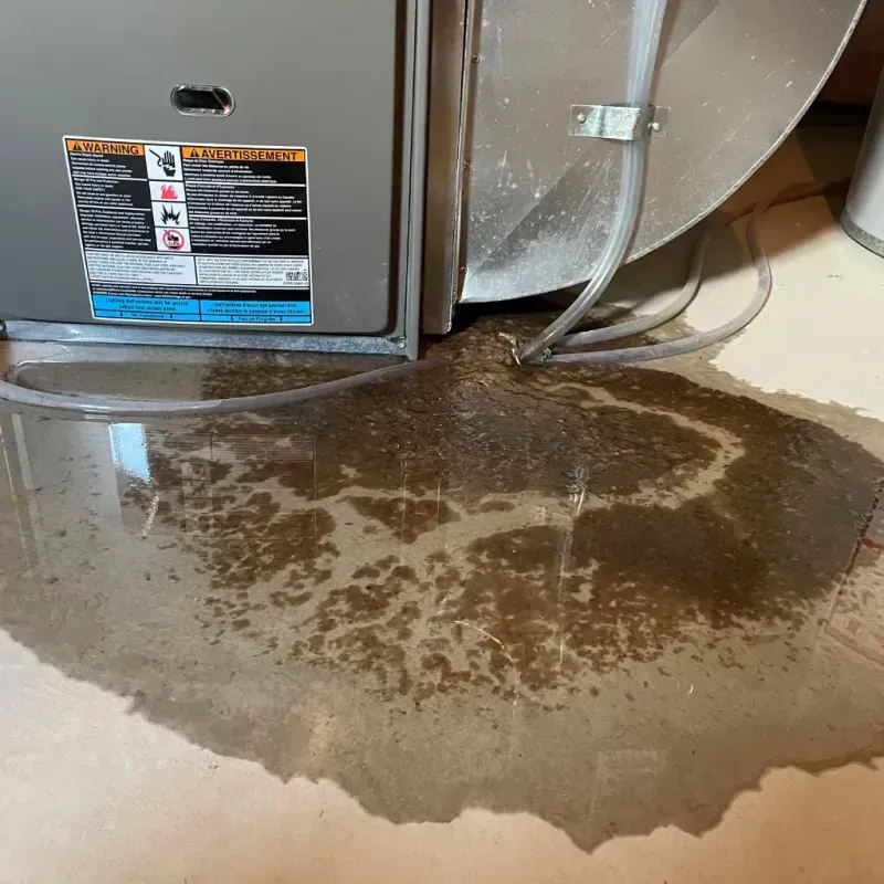 Appliance Leak Cleanup in Rocky Mount, NC